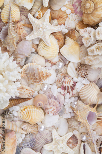 Seashells, pearls and starfishes as background