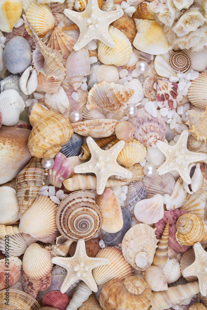 Seashells, pearls and starfishes as background Seashells, pearls and starfishes as background