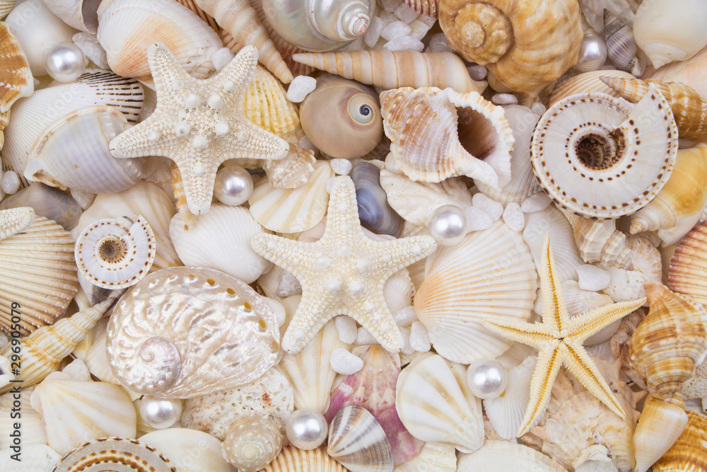 Seashells, pearls and starfishes as background Seashells, pearls and starfishes as background
