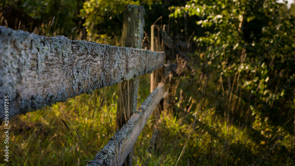 Fototapeta premium Old wooden fence in the woods dividing forest from fields and valleys
