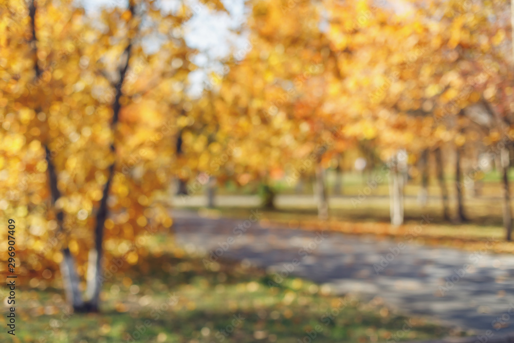 Naklejka premium Blurred background of autumn park with bokeh. Defocused view
