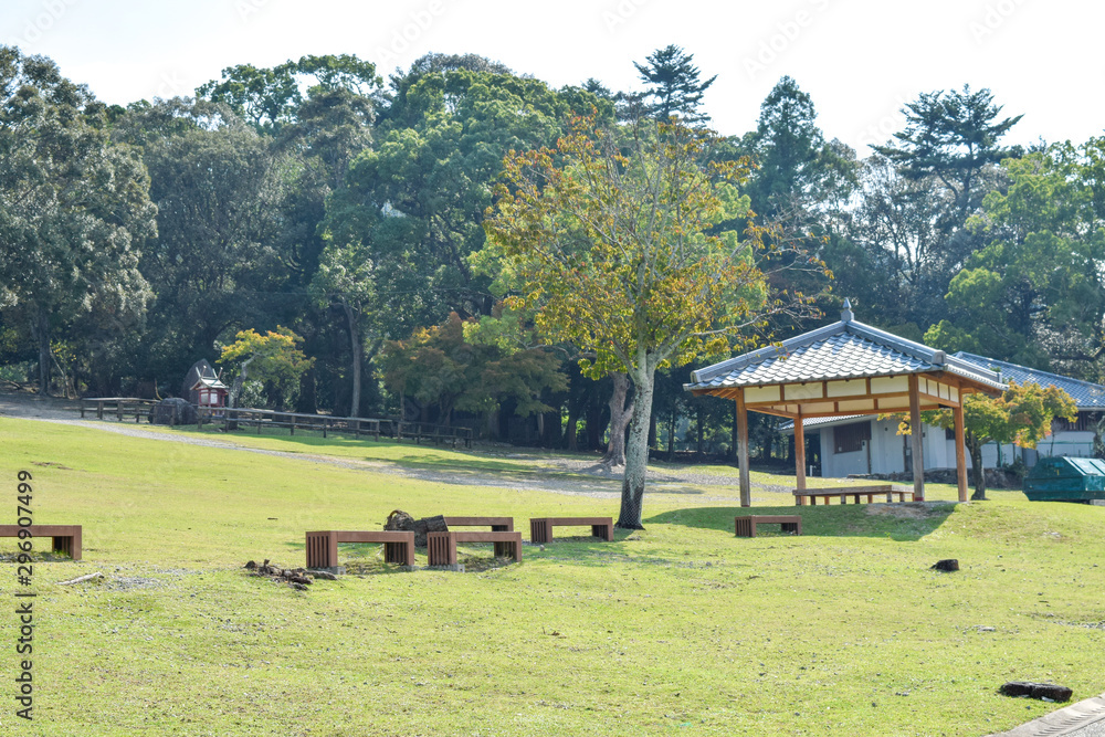 Obraz premium 若草山