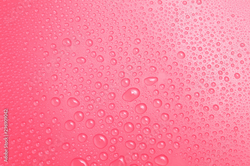 Close up water drops on pink background  Water drop in macro photography