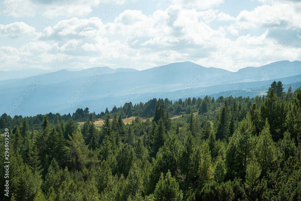 Obraz premium Mountain views, pine tree forest, green nature, cloudy sky, Balkans,, Bulgaria, eastern europe