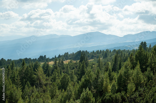 Mountain views, pine tree forest, green nature, cloudy sky, Balkans,, Bulgaria, eastern europe © melhall