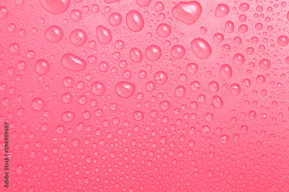 Close up water drops on pink background, Water drop in macro photography