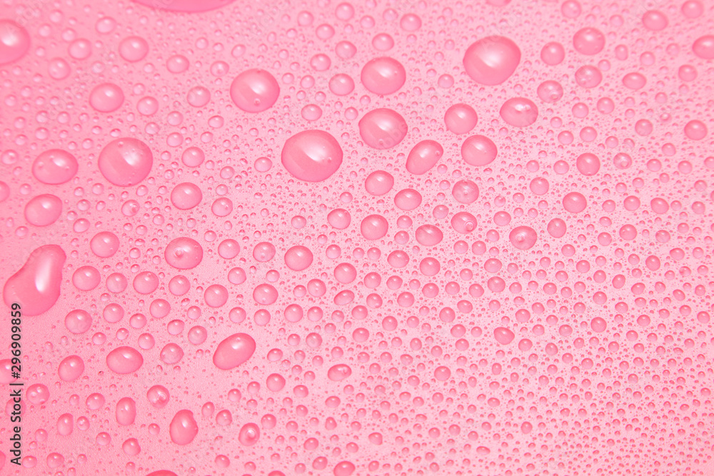 Close up water drops on pink background, Water drop in macro photography Close up water drops on pink background, Water drop in macro photography