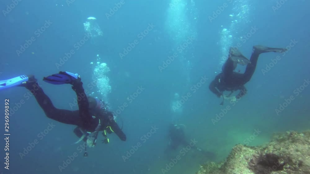 Divers underwater swimming in the sea Divers underwater swimming in the sea