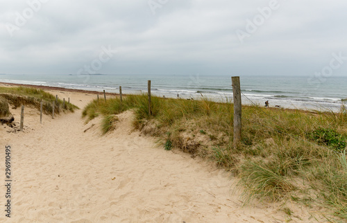 sandy path leads to an wild beach