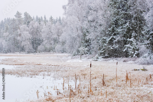 Winterly lake at a bog in the woodland with frost © Lars Johansson