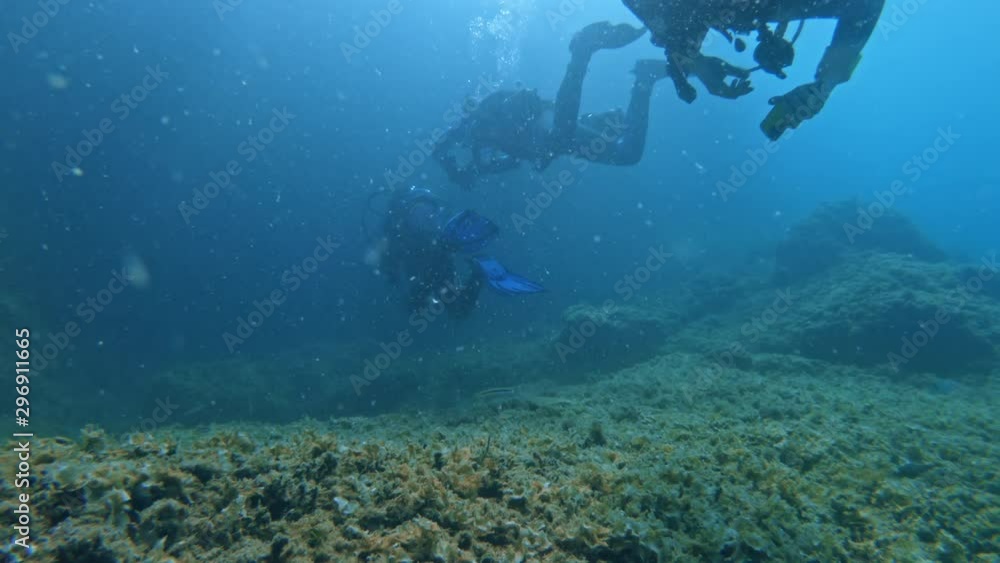 Divers underwater neer coral reef Divers underwater neer coral reef