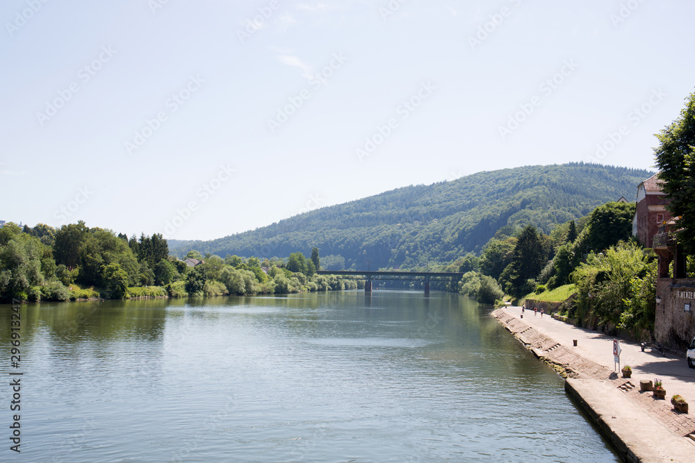 blick auf hügel und die brücke am neckar in heidelberg deutschland fotografiert während einer  schiffstour an einem sonnigen Tag im Sommer