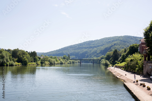blick auf hügel und die brücke am neckar in heidelberg deutschland fotografiert während einer schiffstour an einem sonnigen Tag im Sommer