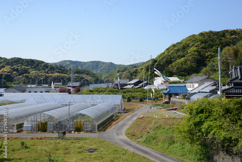 鯉のぼりの季節