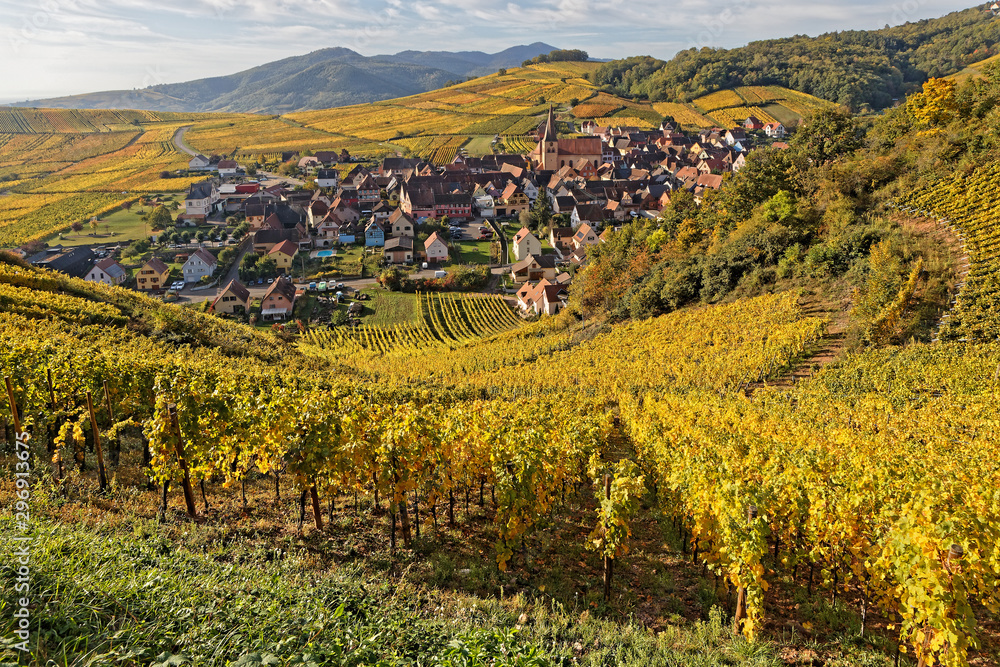 The village of Niedermorschwihr in its vineyards landscape