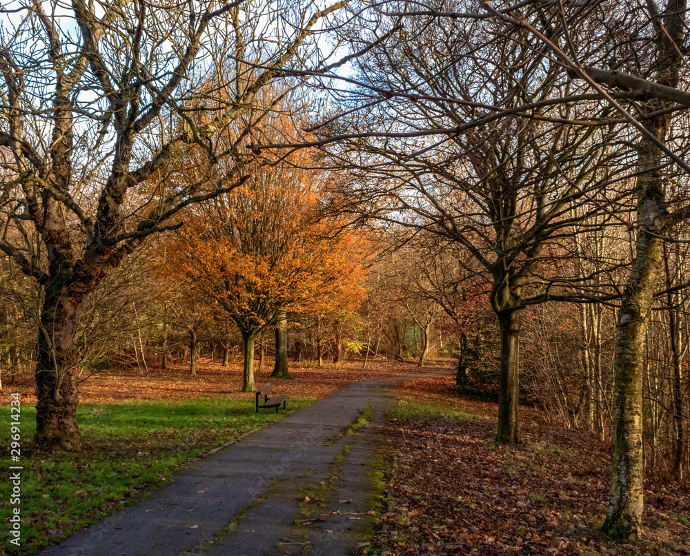 A path leading through a warm and inviting autumnal scene in Northcliffe Park in Shipley, West Yorkshire