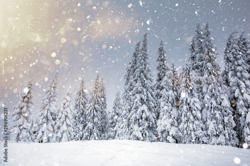 Scenic winter landscape with snowy fir trees and small cottage.