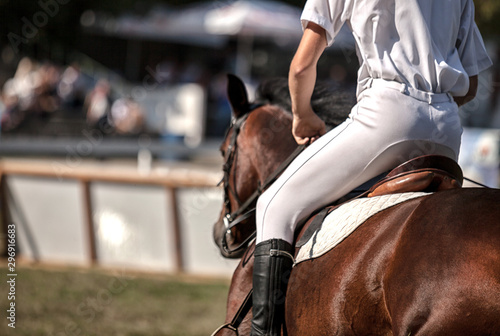 Dressage horse and a rider © Rade Lukovic