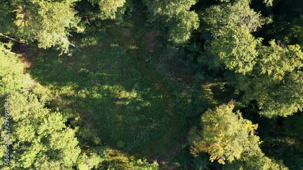 Feld, Wald und Wiesen - Kameraflug Feld, Wald und Wiesen - Kameraflug