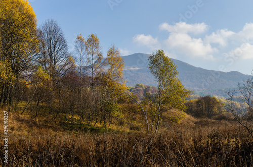 Fototapeta Naklejka Na Ścianę i Meble -  Tarnica Bieszczady