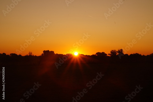 Wallpaper Mural nature Torontodigital.ca