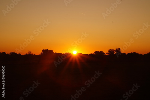 Wallpaper Mural nature Torontodigital.ca