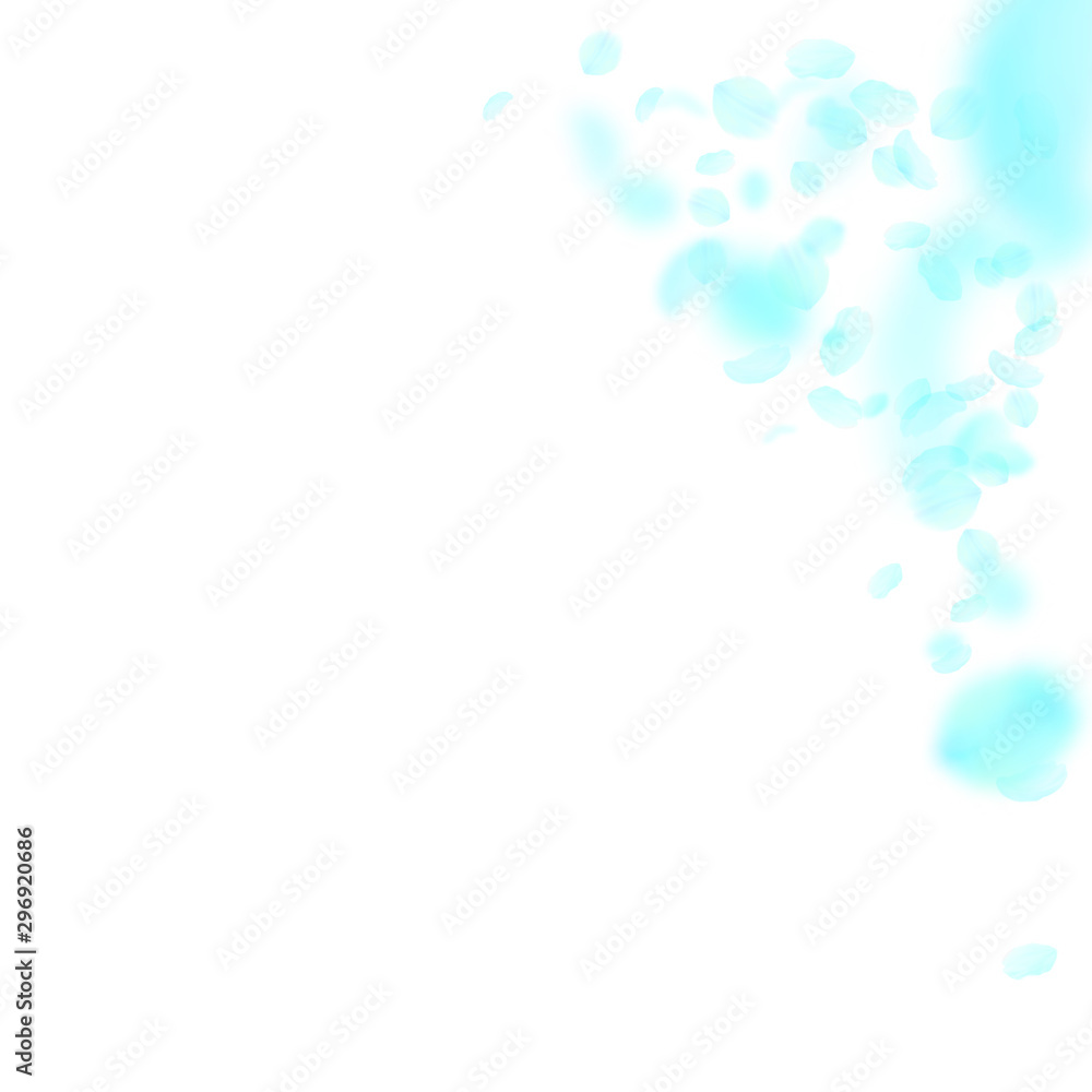 Turquoise flower petals falling down. Vibrant roma Turquoise flower petals falling down. Vibrant roma