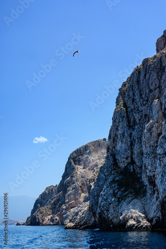 Cliffs of St. Grgur island with a seagull, Croatia