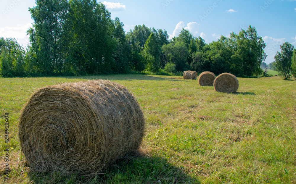 View of hay bales on the field after harvest View of hay bales on the field after harvest