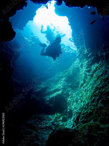 Divers © Lee Jellyman