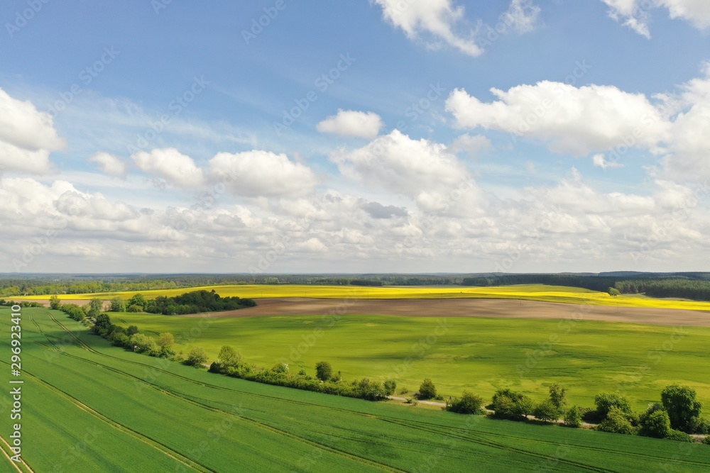 Obraz premium default