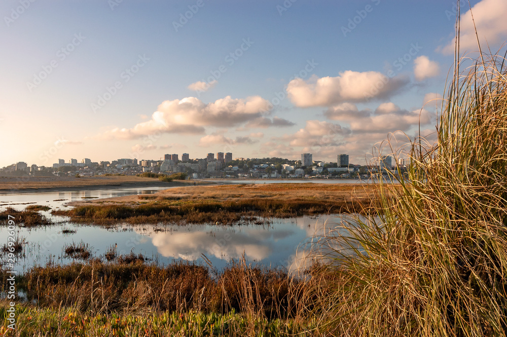 Fototapeta premium Douro mouth in summer