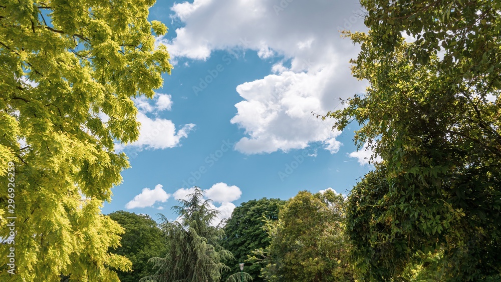 Obraz premium Jardin des Champs-Elysées, Paris, France 