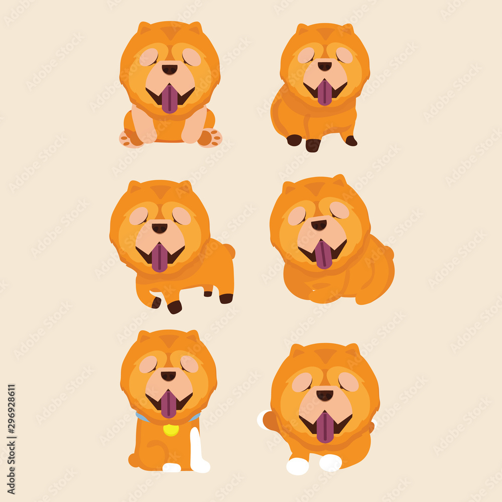 Fototapeta premium Cartoon character chow chow dog poses.