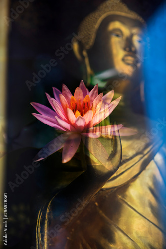 A superimposed and double exposure images of Golden Buddha statue from Wat Pathum Wanaram, Bangkok, and a pink lotus. Buddha statue is posing “The attitude of forbidding the relatives to fight”.