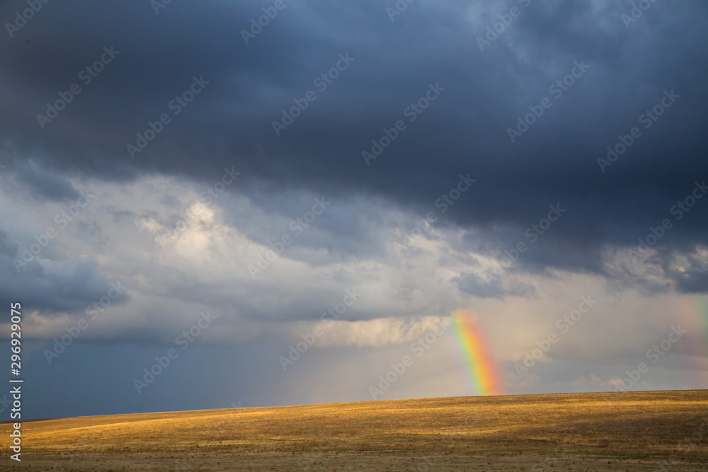 The Rainbow and Field