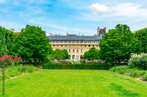 Wallpaper Mural Palais Royal garden in center of Paris, France Torontodigital.ca