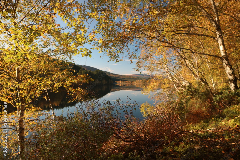 autumn in the highlands