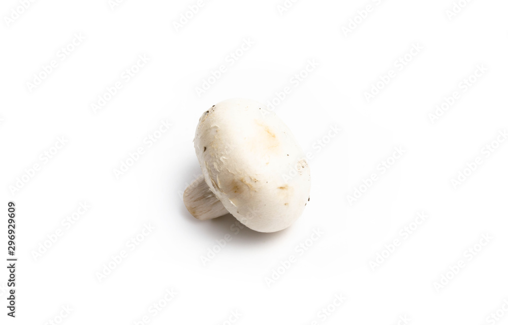 Champignon mushroom on a white background isolate Champignon mushroom on a white background isolate