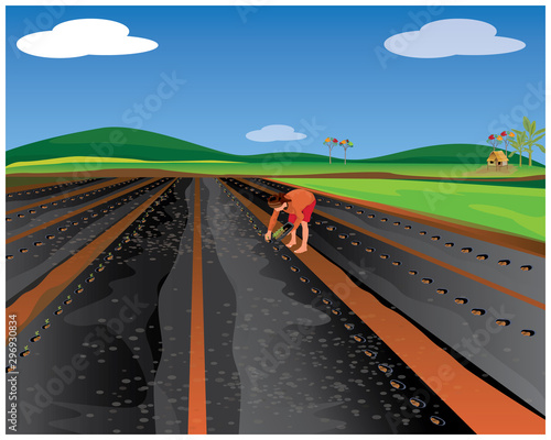 agriculturist growth vegetable vector design