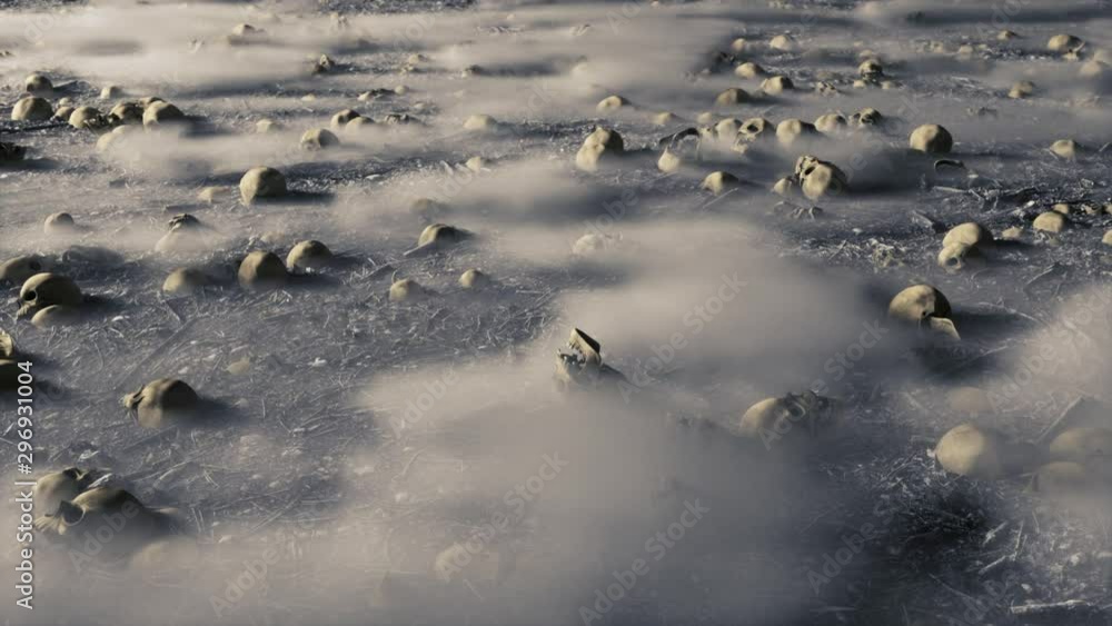 Abandoned creepy field with skulls on foggy ground, forward camera move. Abandoned creepy field with skulls on foggy ground, forward camera move.