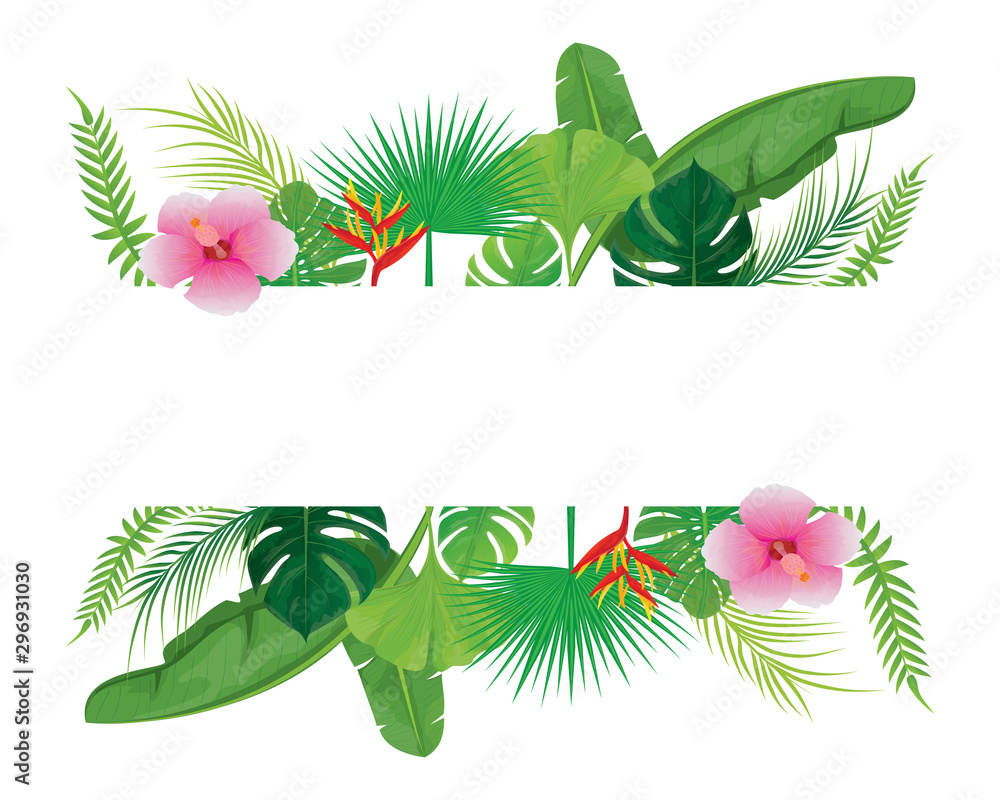 Fototapeta premium white card with many leaves vector design