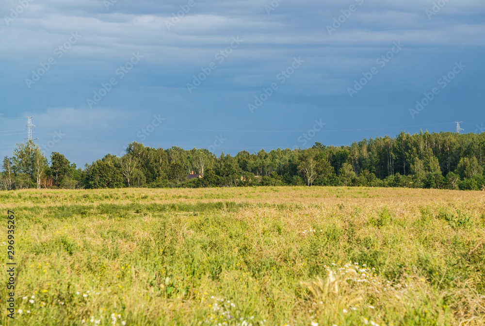 View of endless rural fields. A thunderstorm is approaching. Rural landscape in the summer.