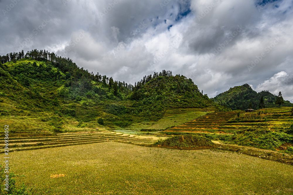 Mountain road in beautiful valley. Ha Giang province. Vietnam