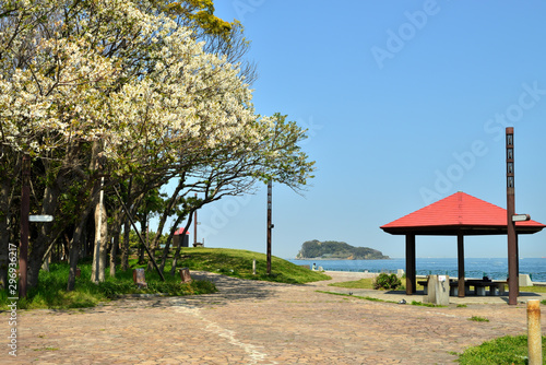   海辺つり公園　猿島　横須賀市平成町の風景　日本 © Shouichi