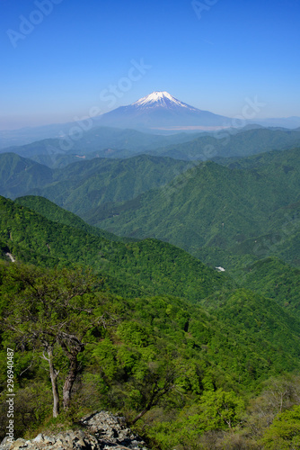 檜洞丸の登山道