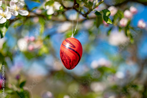 colorful easter egg in a cherry tree
