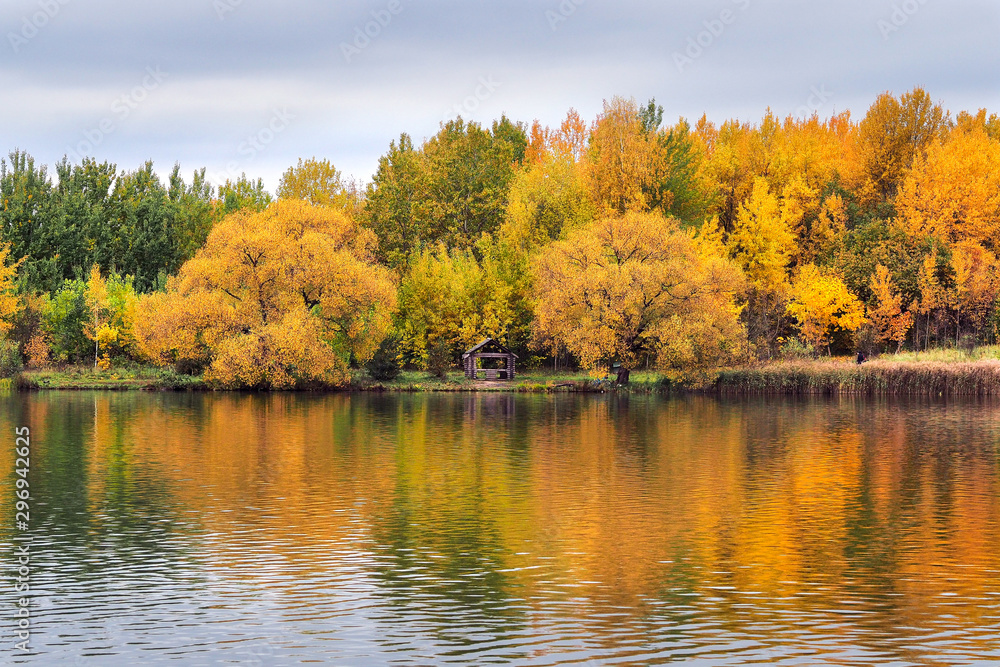 Autumn in the forest. Bright yellow and green trees by the lake. Reflection. November. Autumn in the forest. Bright yellow and green trees by the lake. Reflection. November.