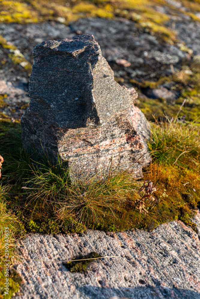 Obraz premium stone wall in garden