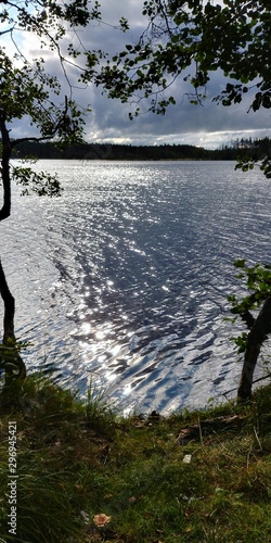 forest lake in Leningrad Oblast